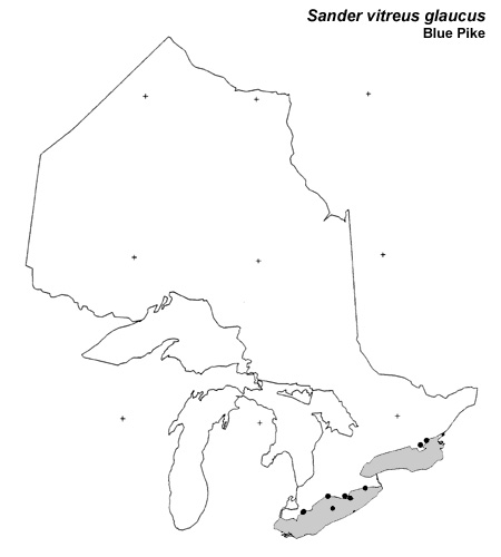 Blue Pike (blue walleye) range