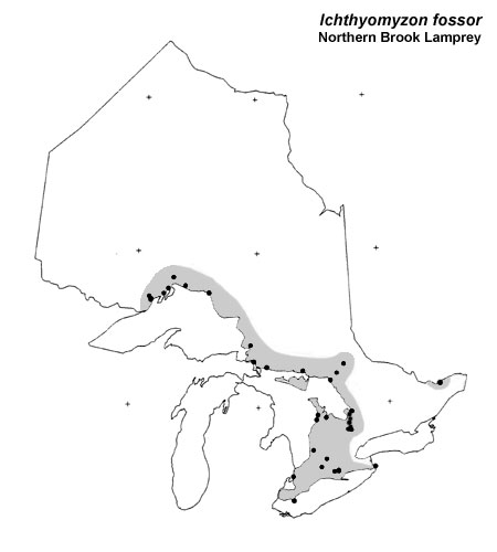 Northern Brook Lamprey range