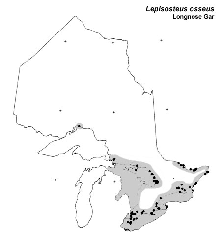 Longnose Gar range
