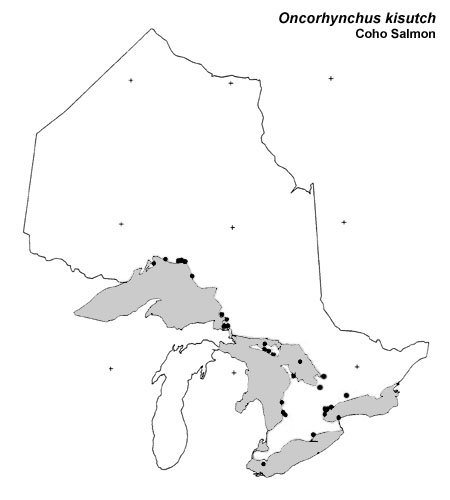 Coho Salmon range