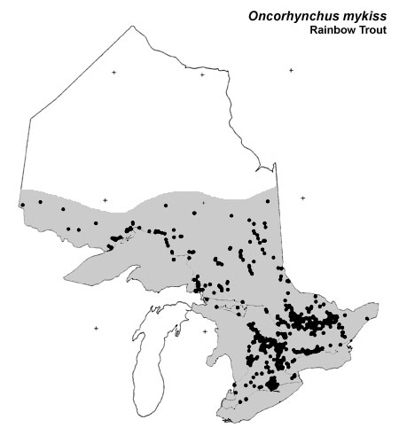 Rainbow Trout (steelhead) range