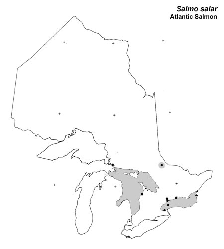 Atlantic Salmon (ouananiche) range