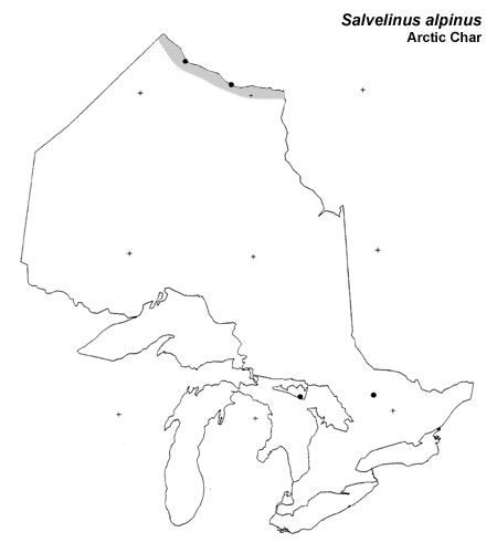 Arctic Char range