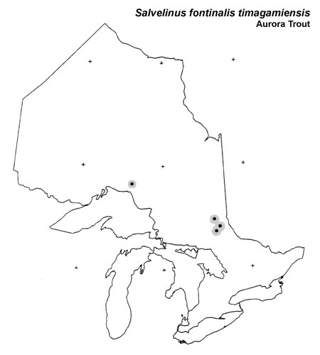 Aurora Trout range
