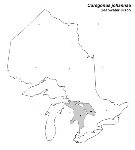 Deepwater Cisco range