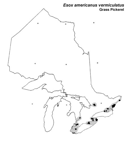 Grass Pickerel range
