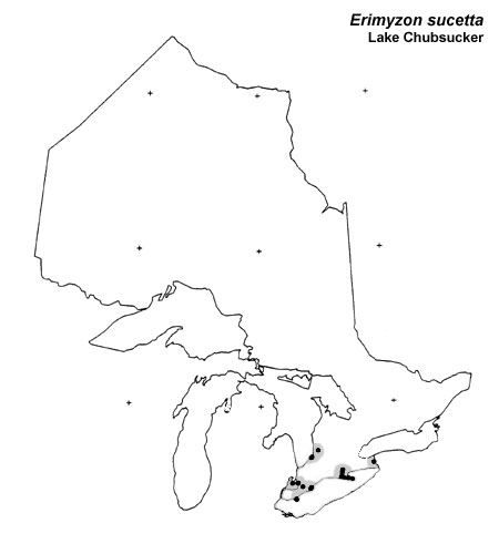 Lake Chubsucker range