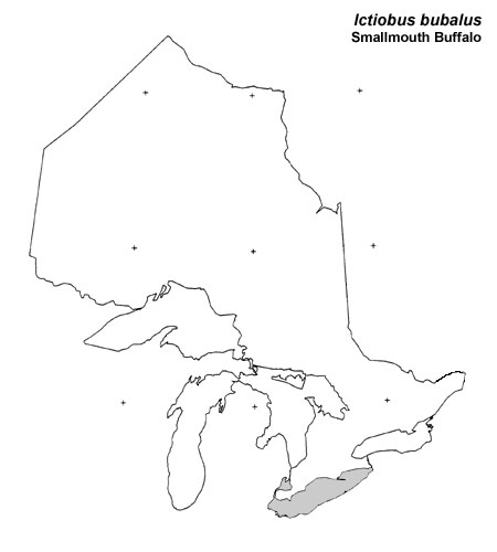 Smallmouth Buffalo range