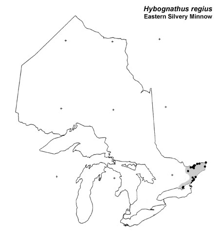 Eastern Silvery Minnow range