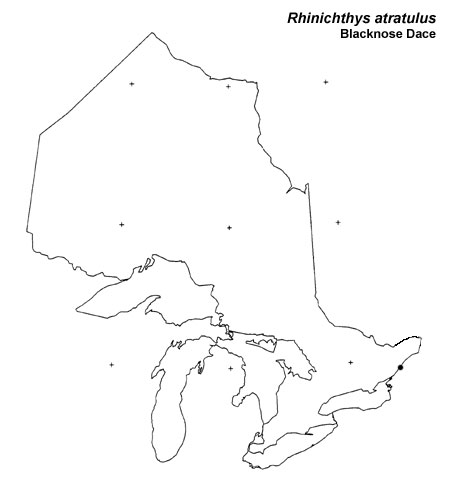 Eastern Blacknose Dace range