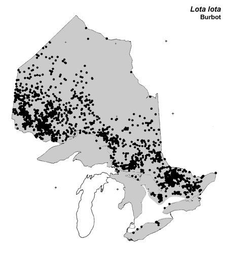 Burbot (ling) range