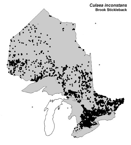 Brook Stickleback range
