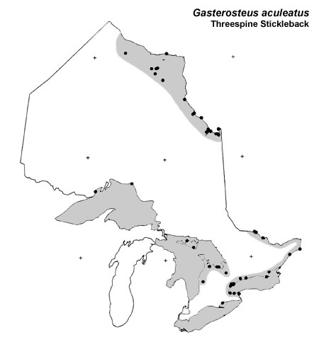 Threespine Stickleback range