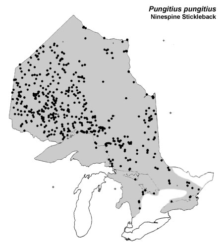 Ninespine Stickleback range