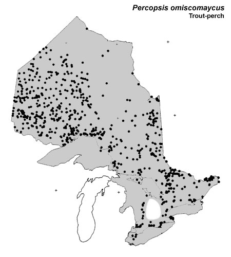 Trout-perch range
