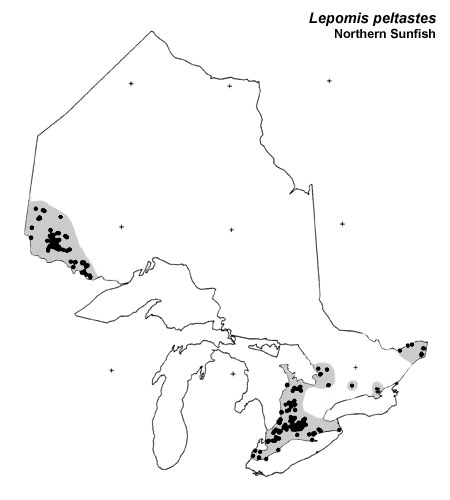 Northern Sunfish range
