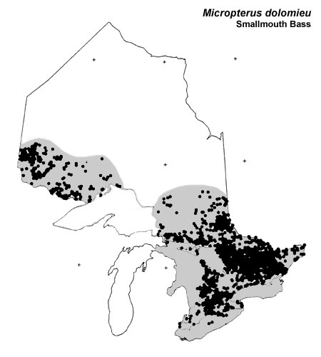 Smallmouth Bass range