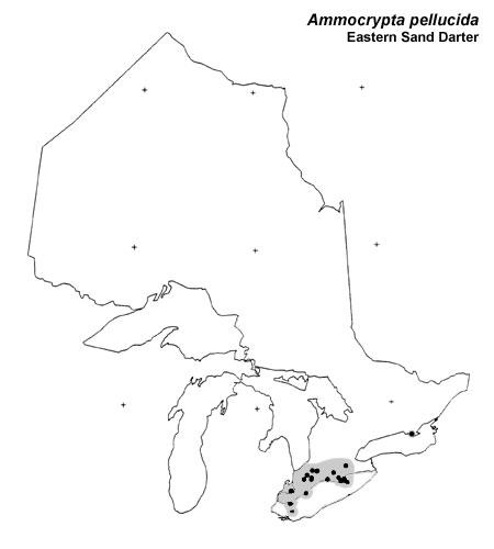 Eastern Sand Darter range