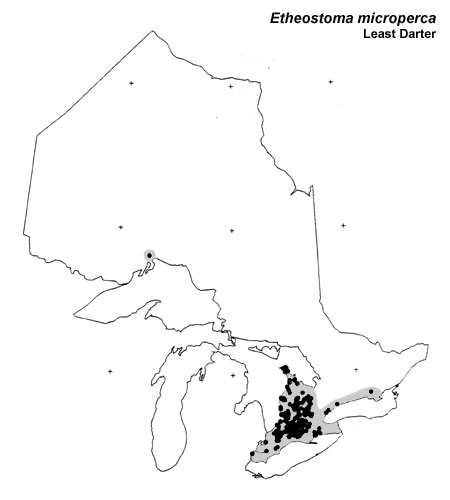 Least Darter range