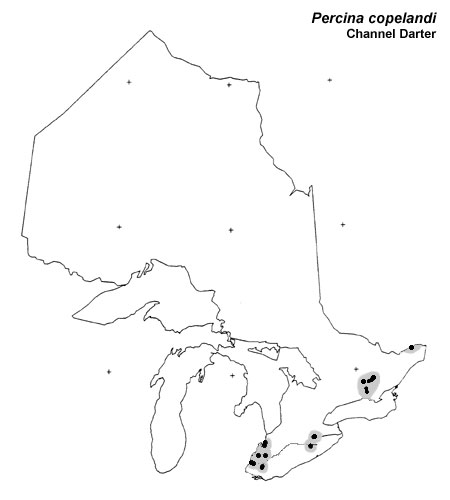 Channel Darter range