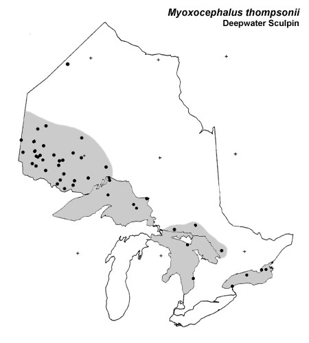 Deepwater Sculpin range