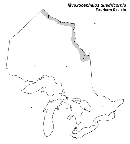 Fourhorn Sculpin range